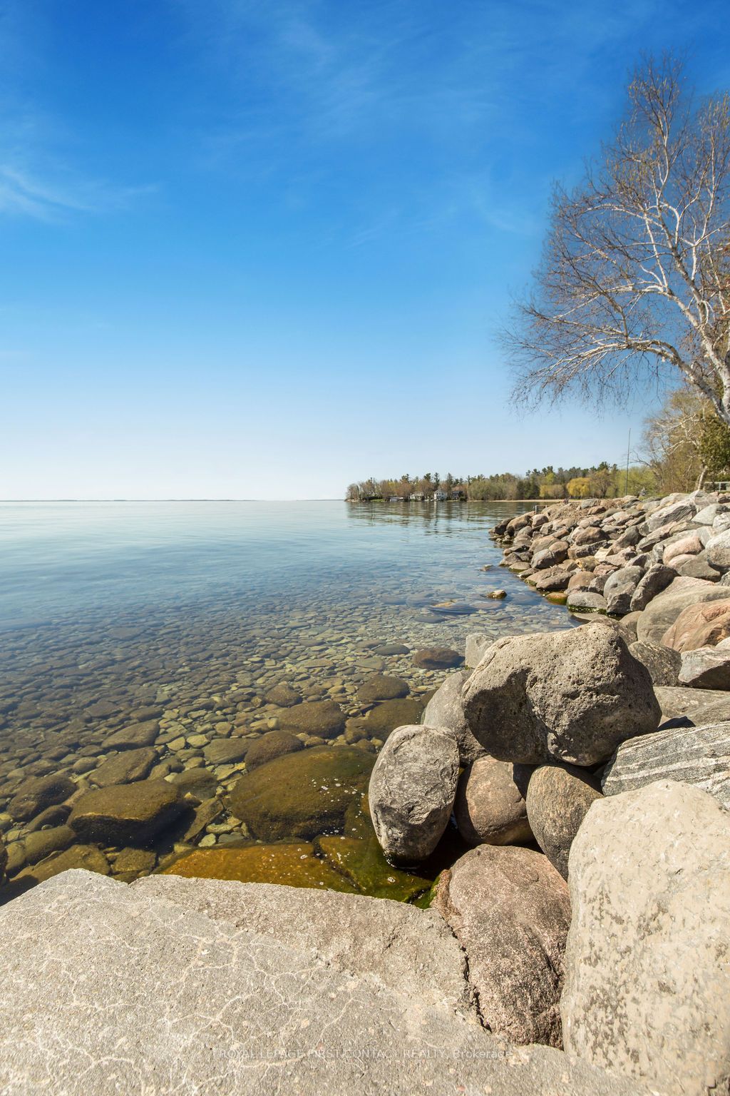 81 Parkside Dr