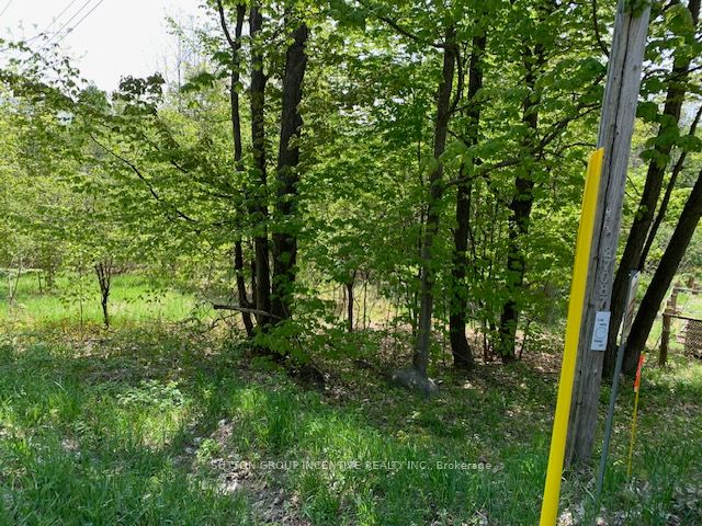 529 Mount St Louis Rd W