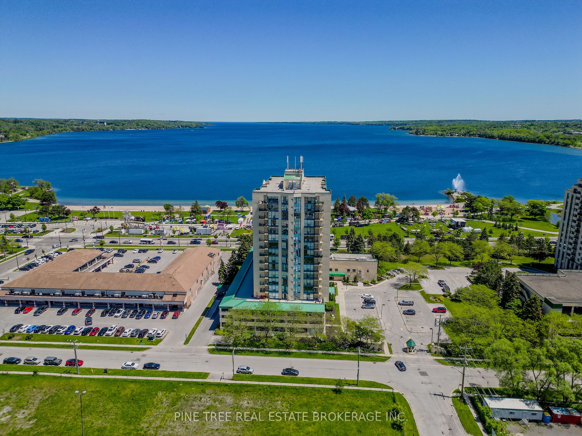 65 Ellen Street, #208