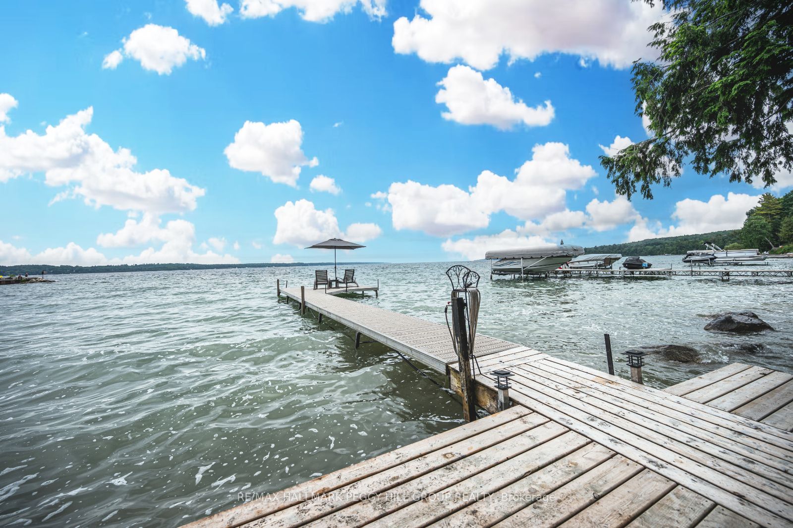 31 Plunkett Crt