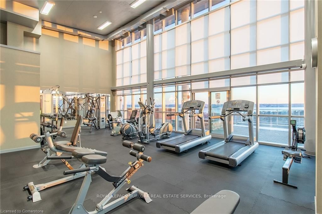 551 Maple Ave, #315