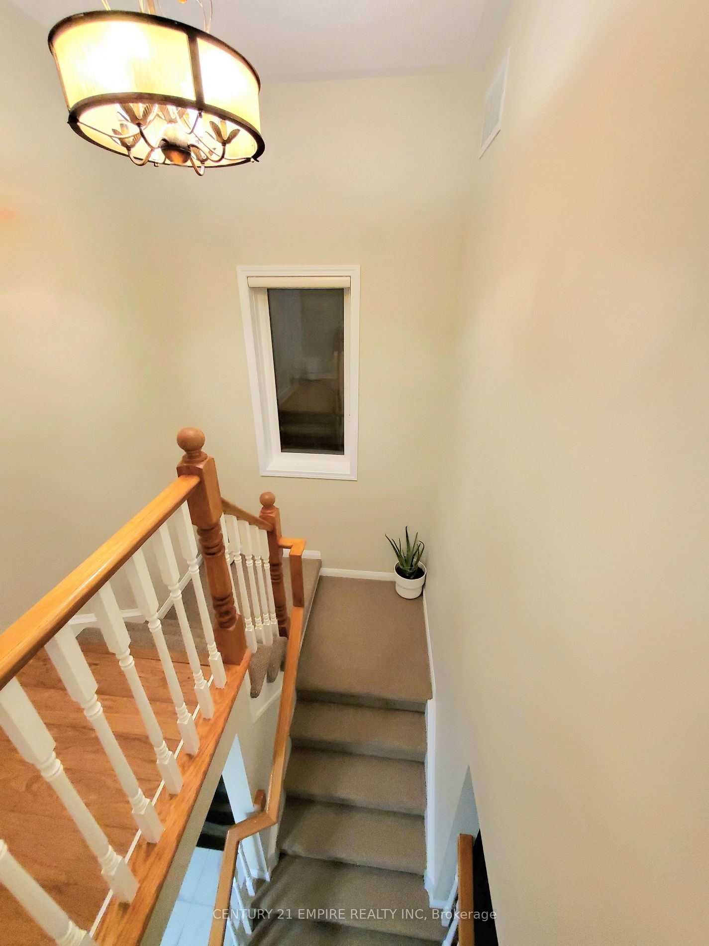 63 Jessop Dr