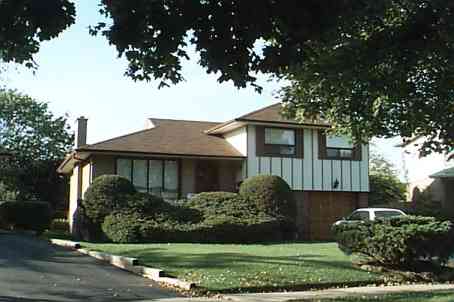 88 Rabbit Lane