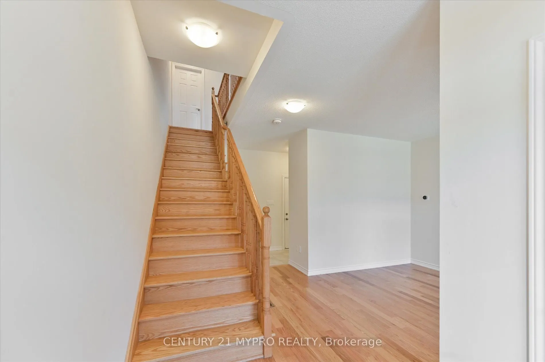 8 Petch Ave