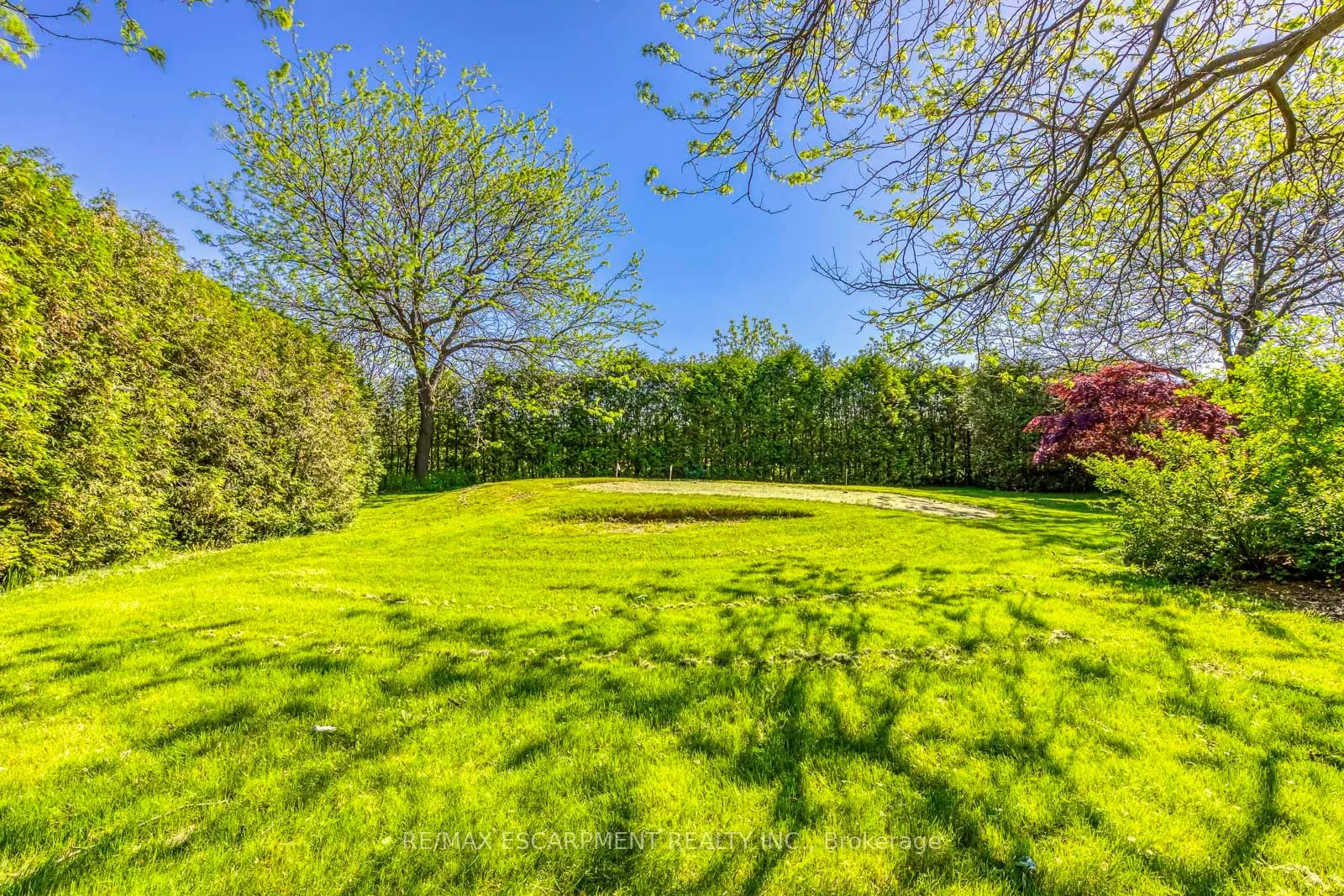 341 Acacia Crt