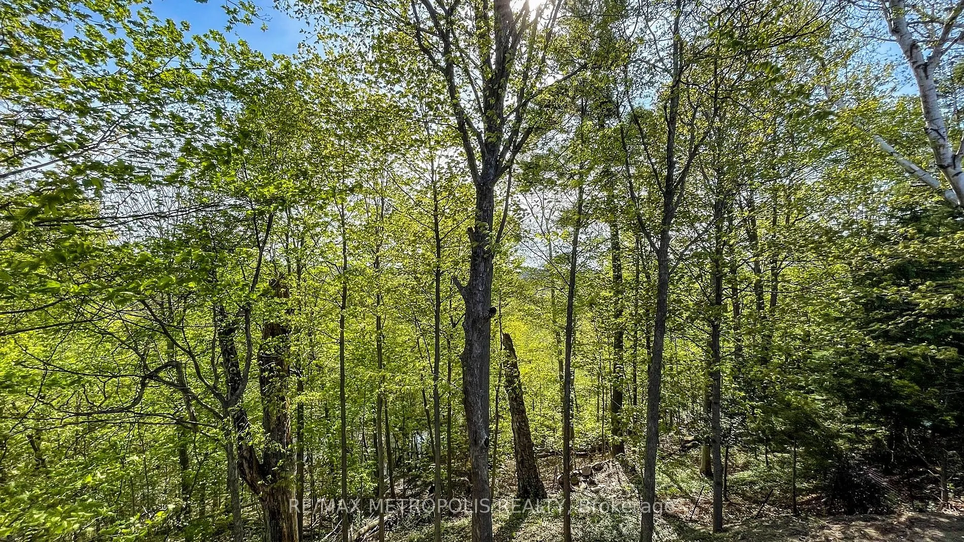 40 Stanwood Cres, #Lower B