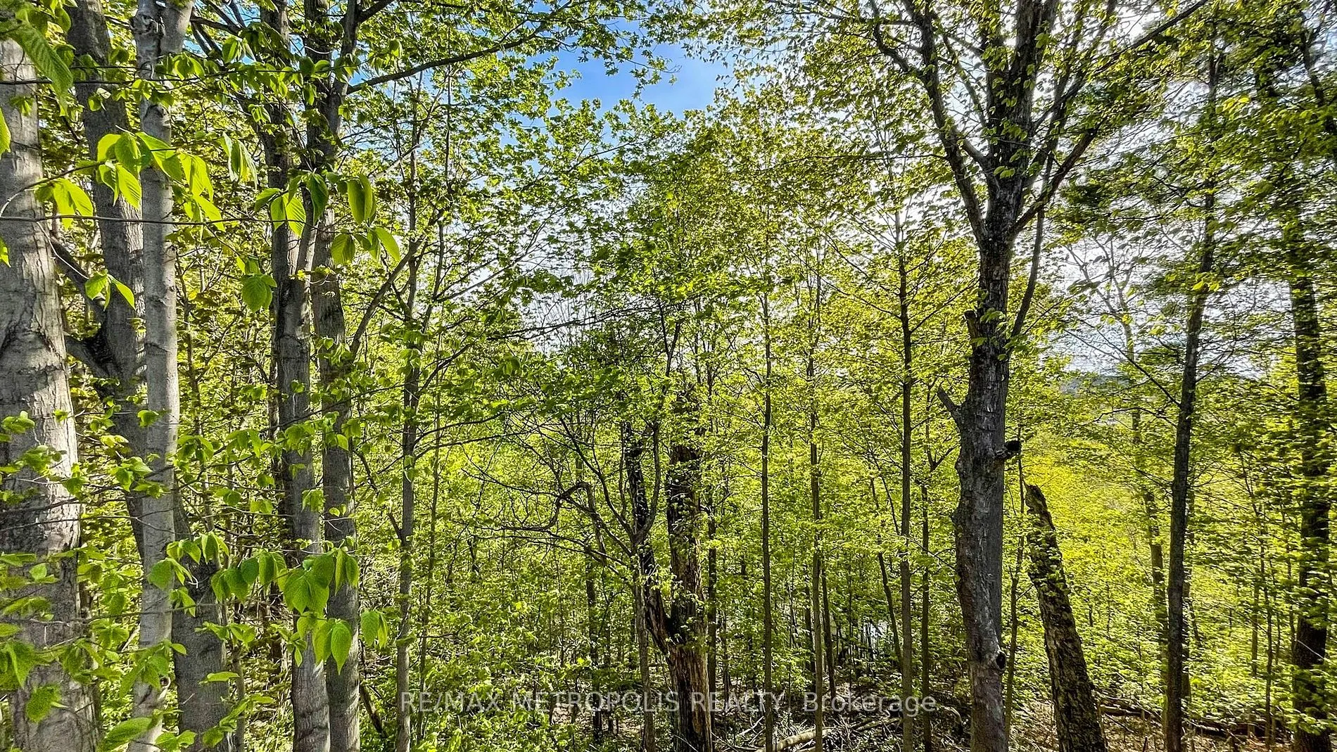 40 Stanwood Cres, #Lower B