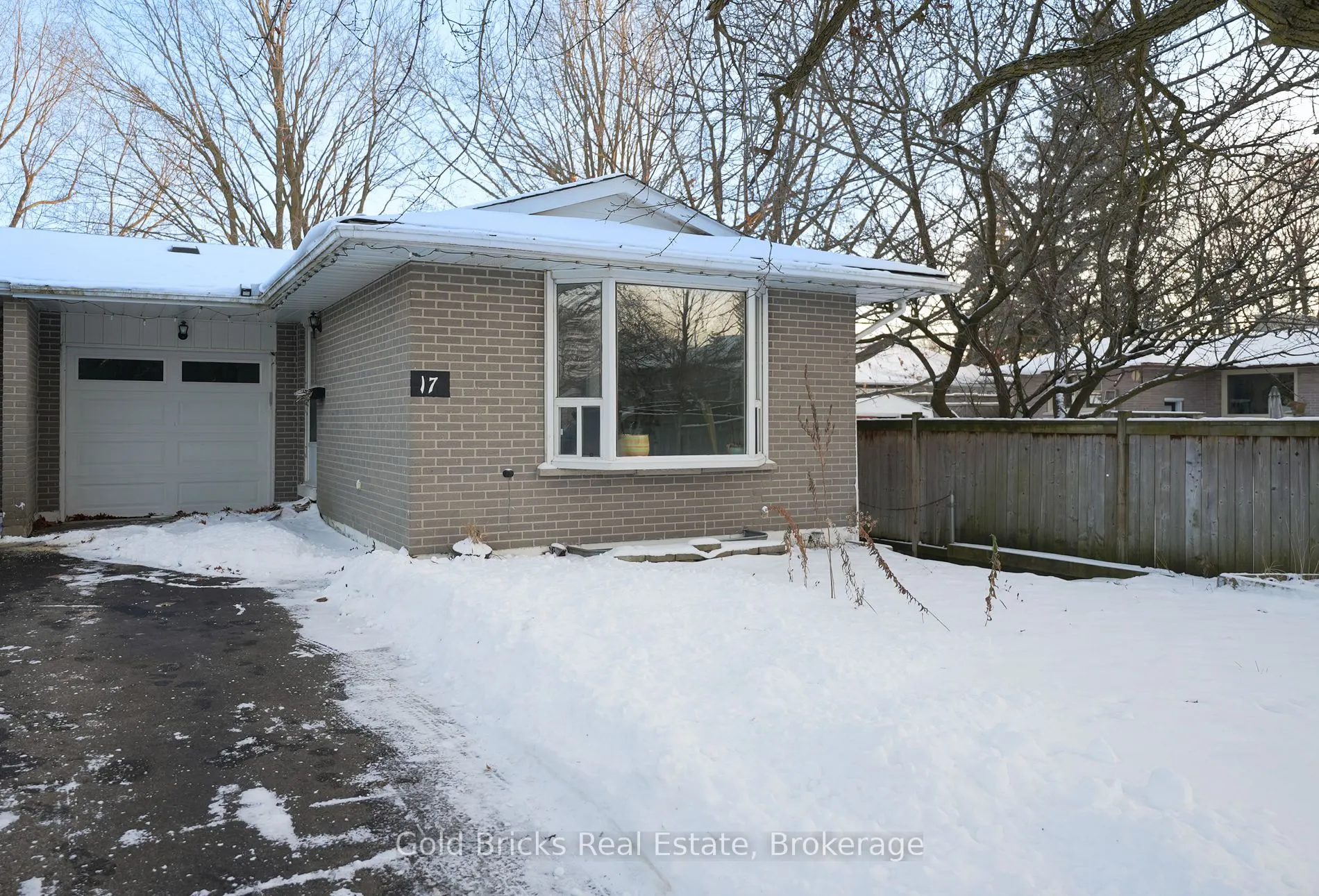 17 Shirley Street