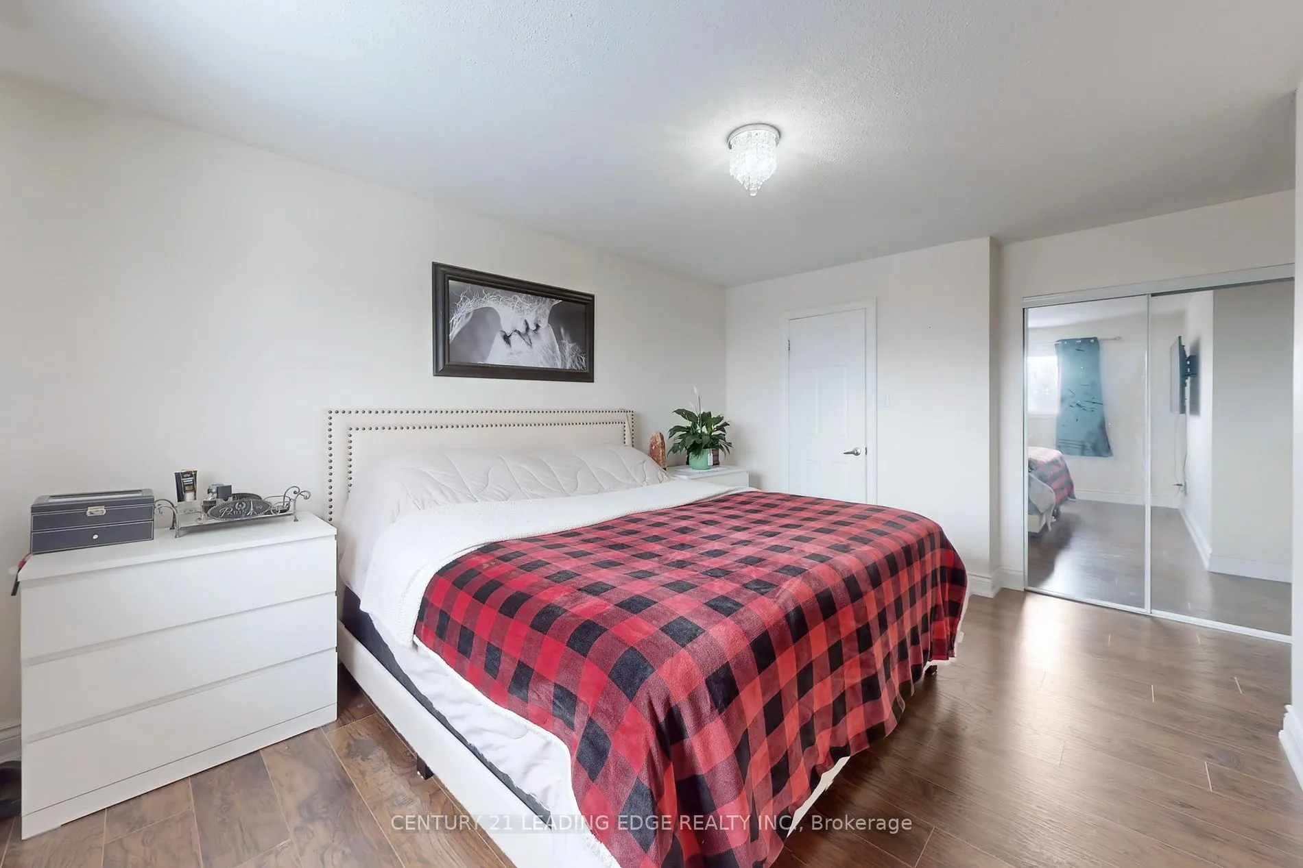 17 Jardine St