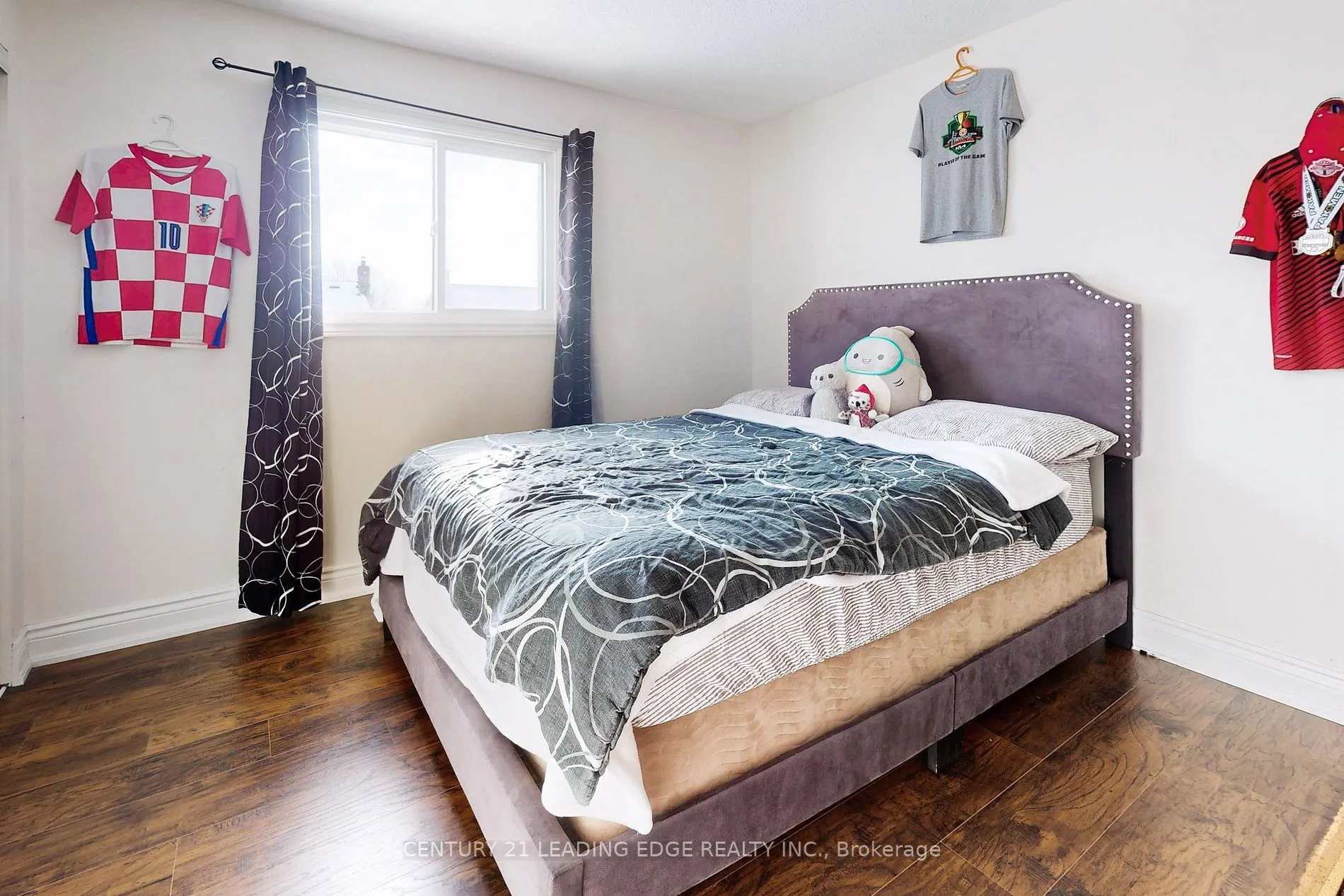 17 Jardine St