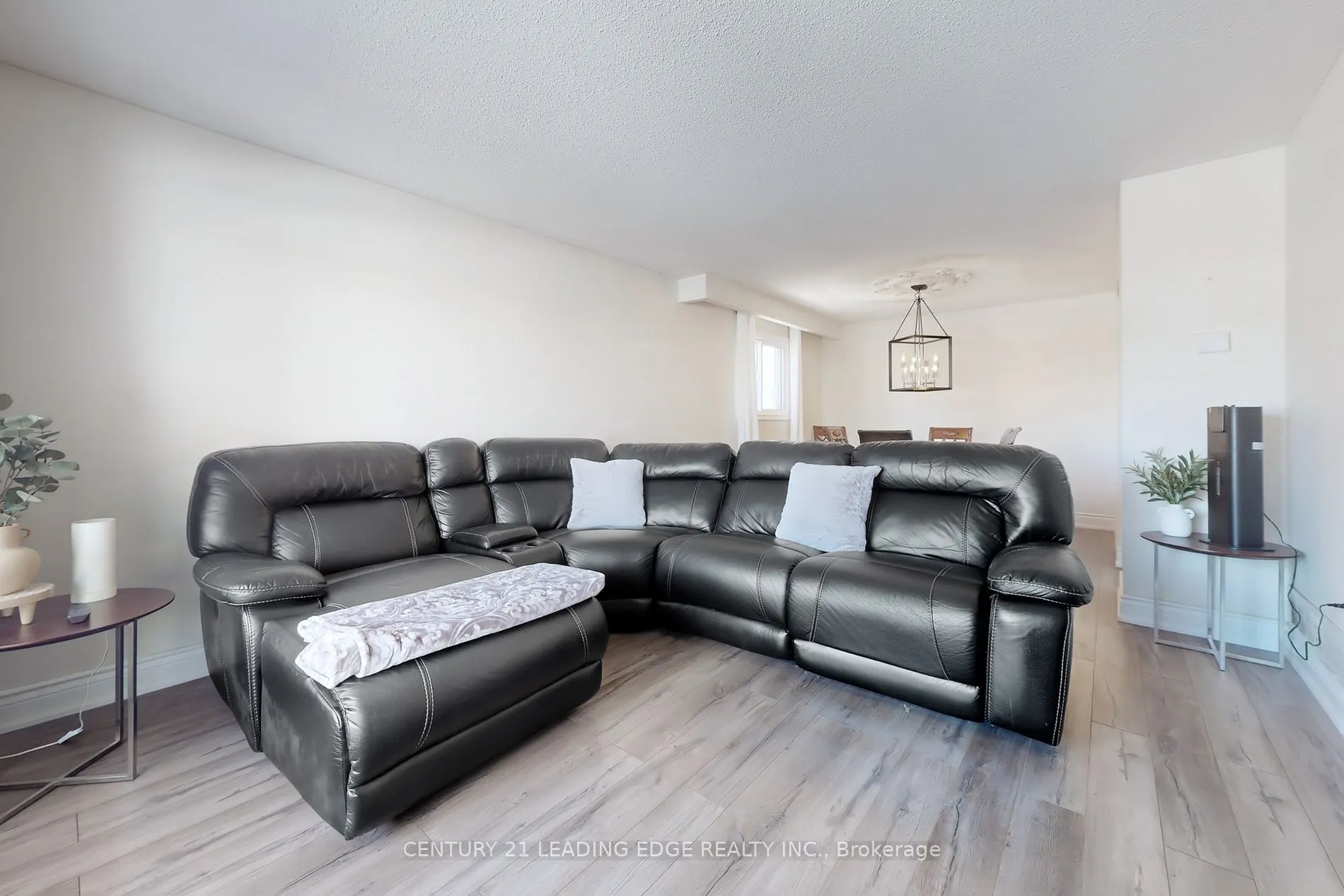 17 Jardine St