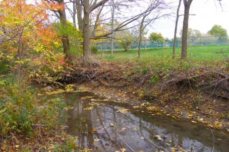 443 Centennial Forest Dr, #204