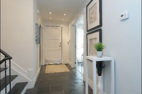 88 Rabbit Lane