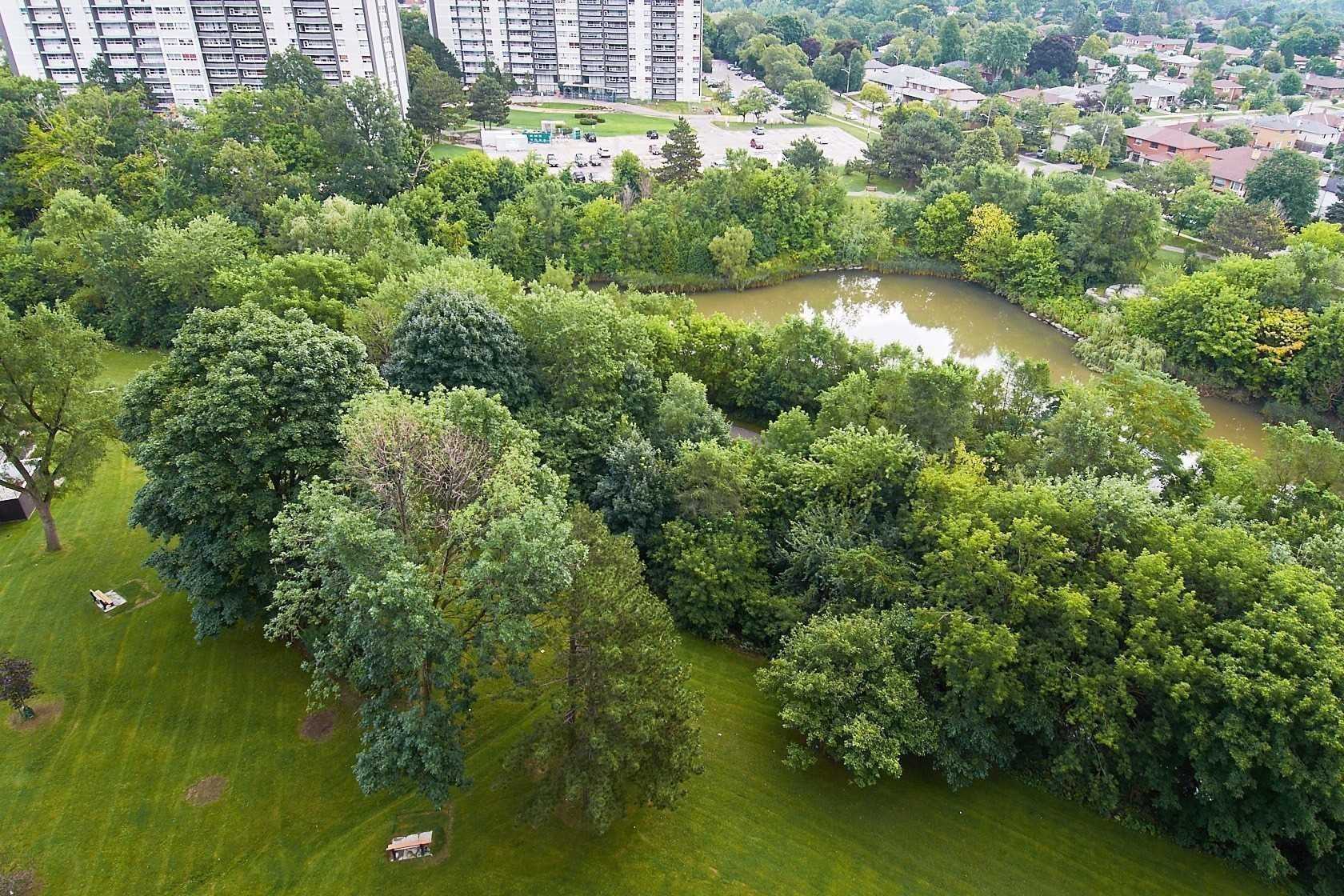 11 Wincott Dr, #402
