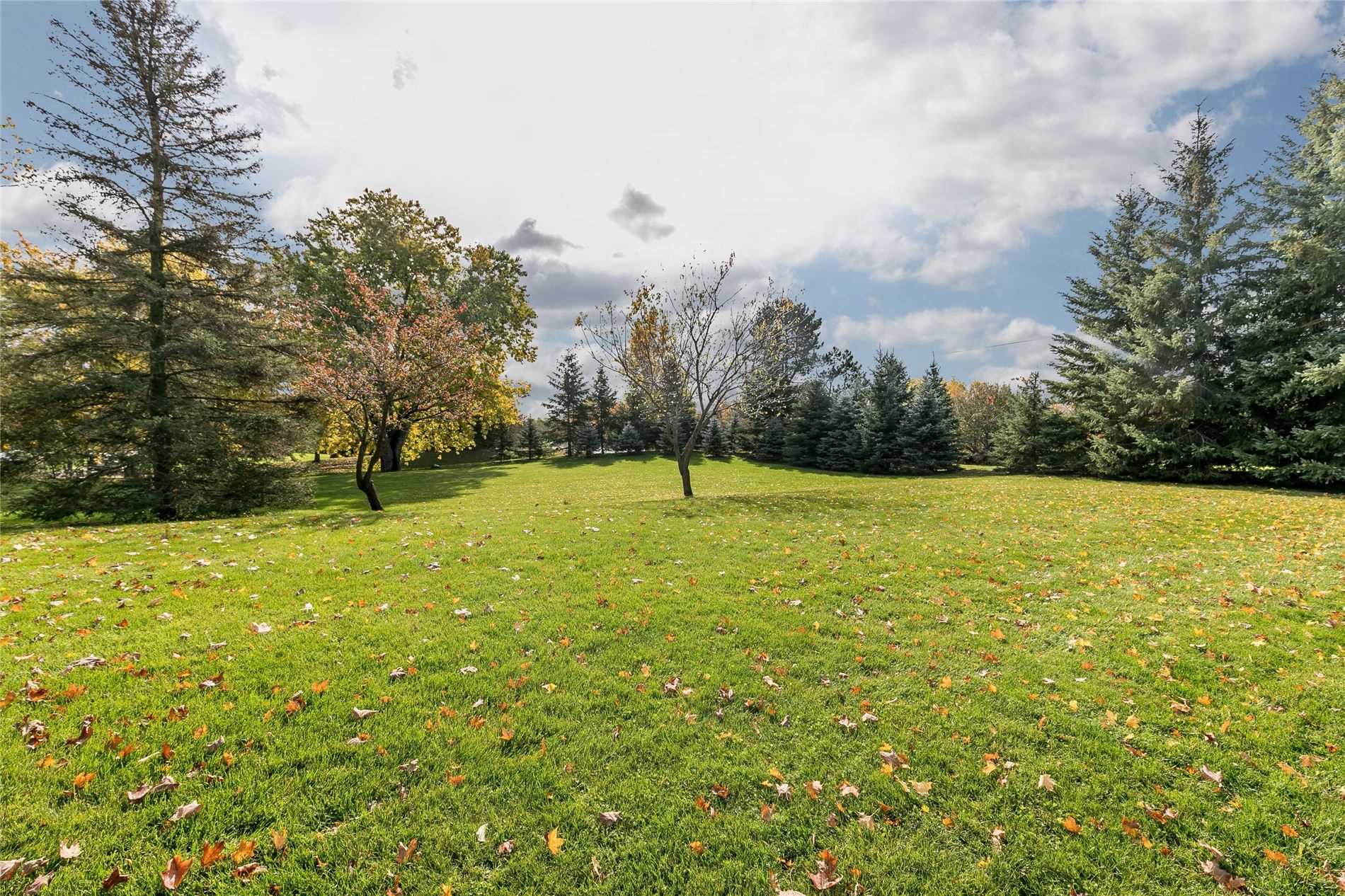 Listing W4967584 - Large Photo # 29
