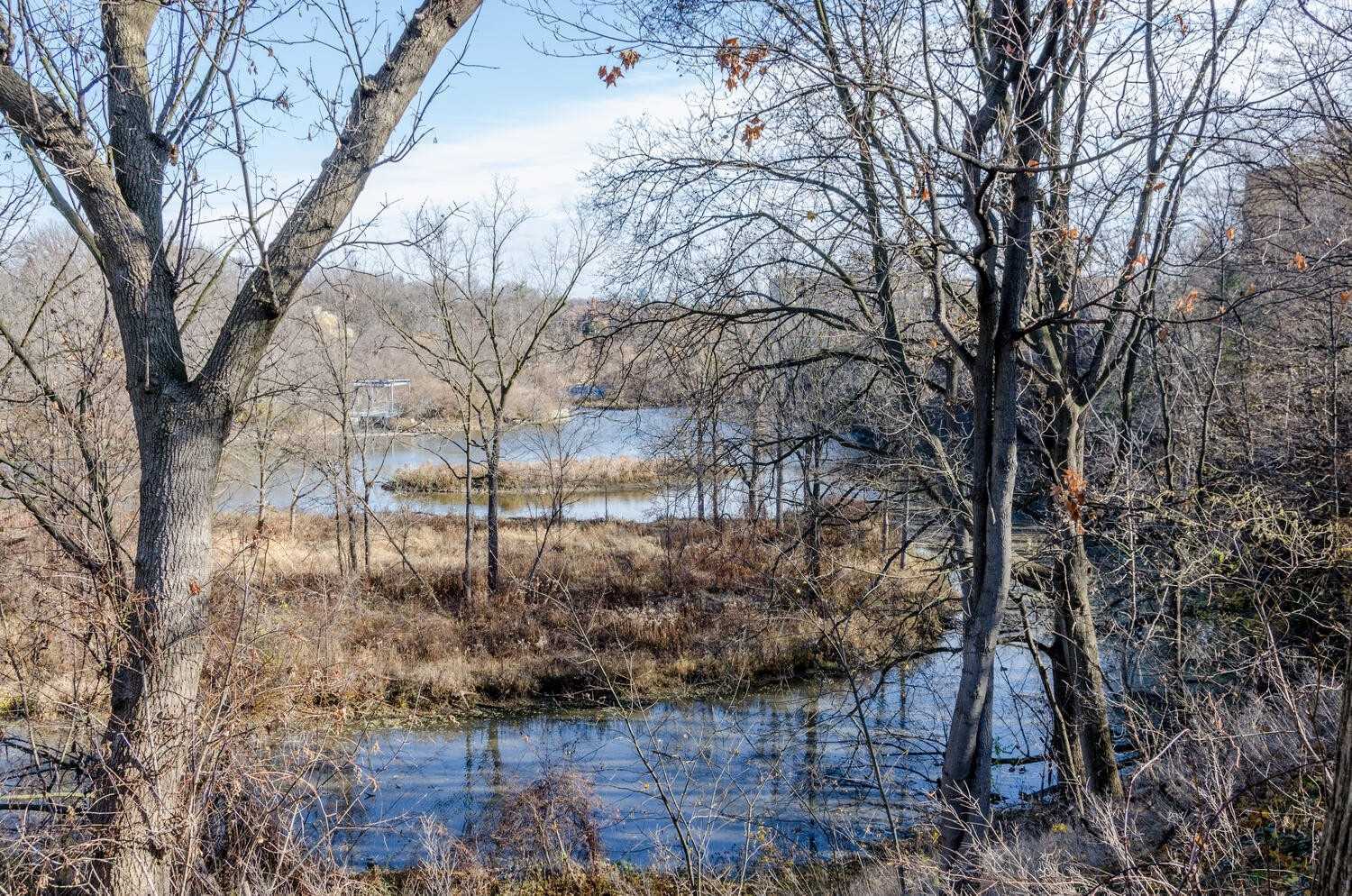 Listing W4989110 - Large Photo # 24