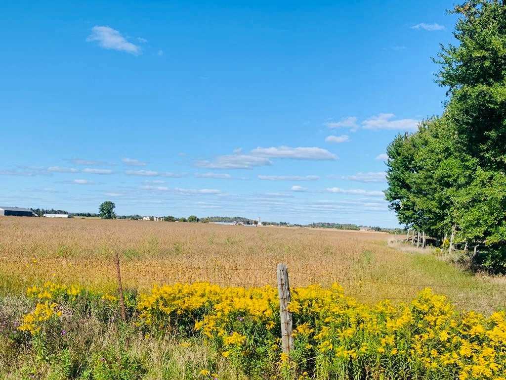 0 Heart Lake Rd