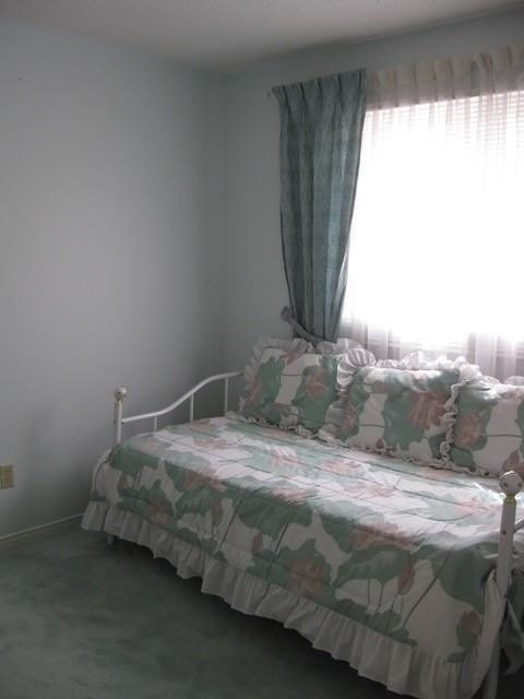 111 Pheasant Dr