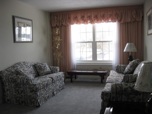 111 Pheasant Dr