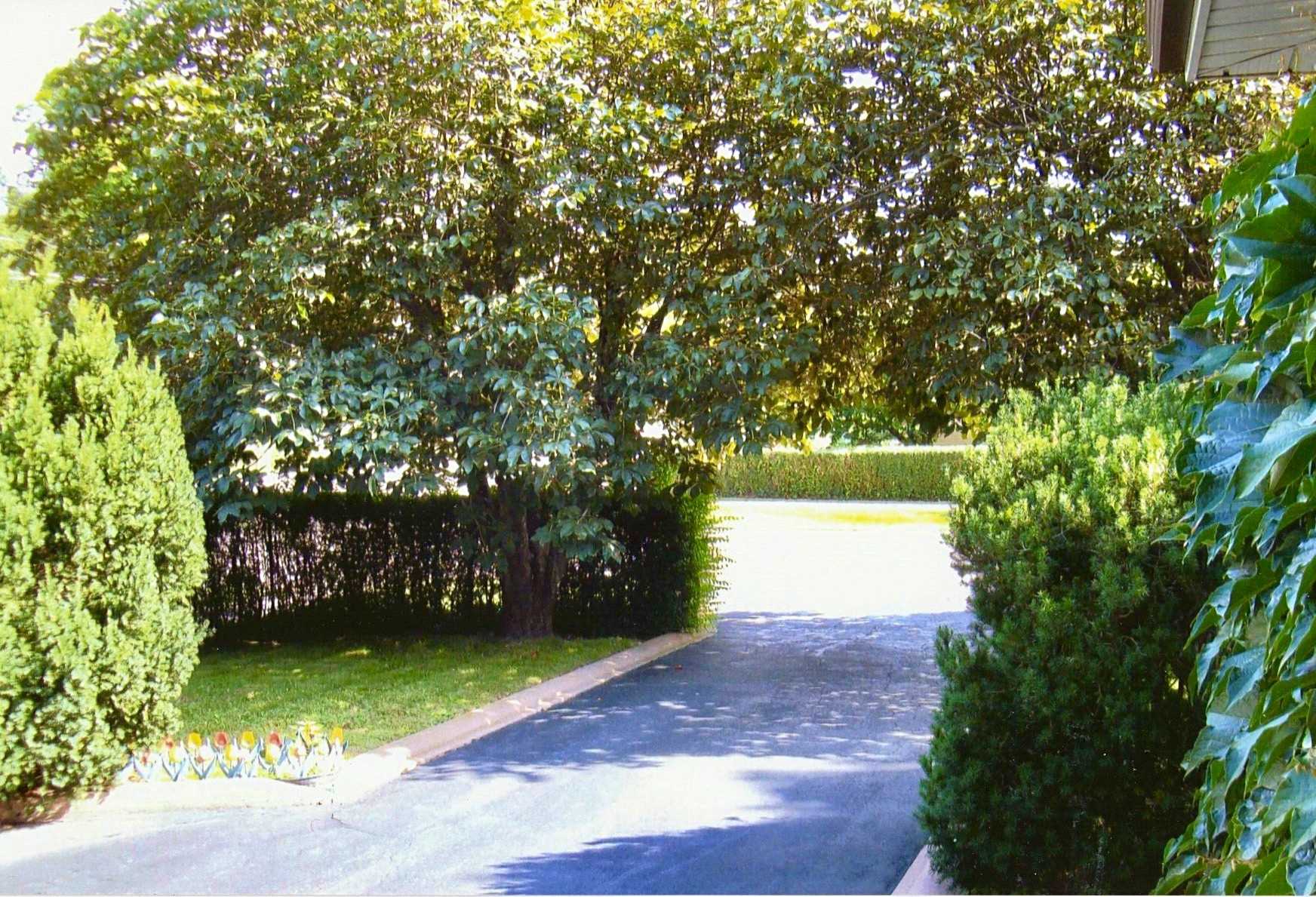 334 Burton Rd