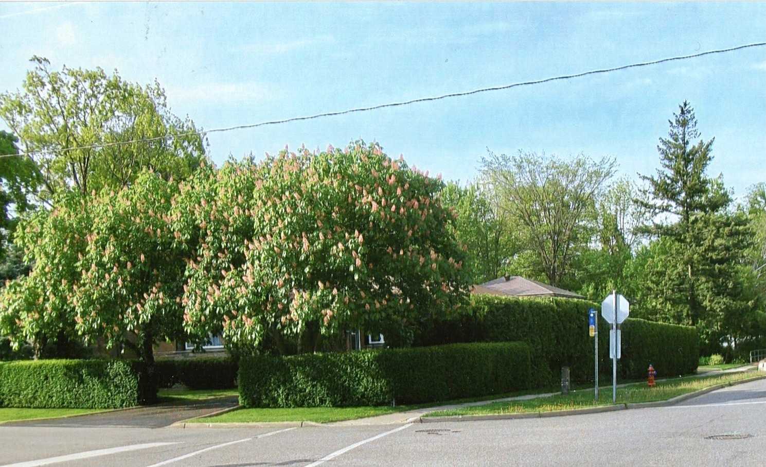 334 Burton Rd
