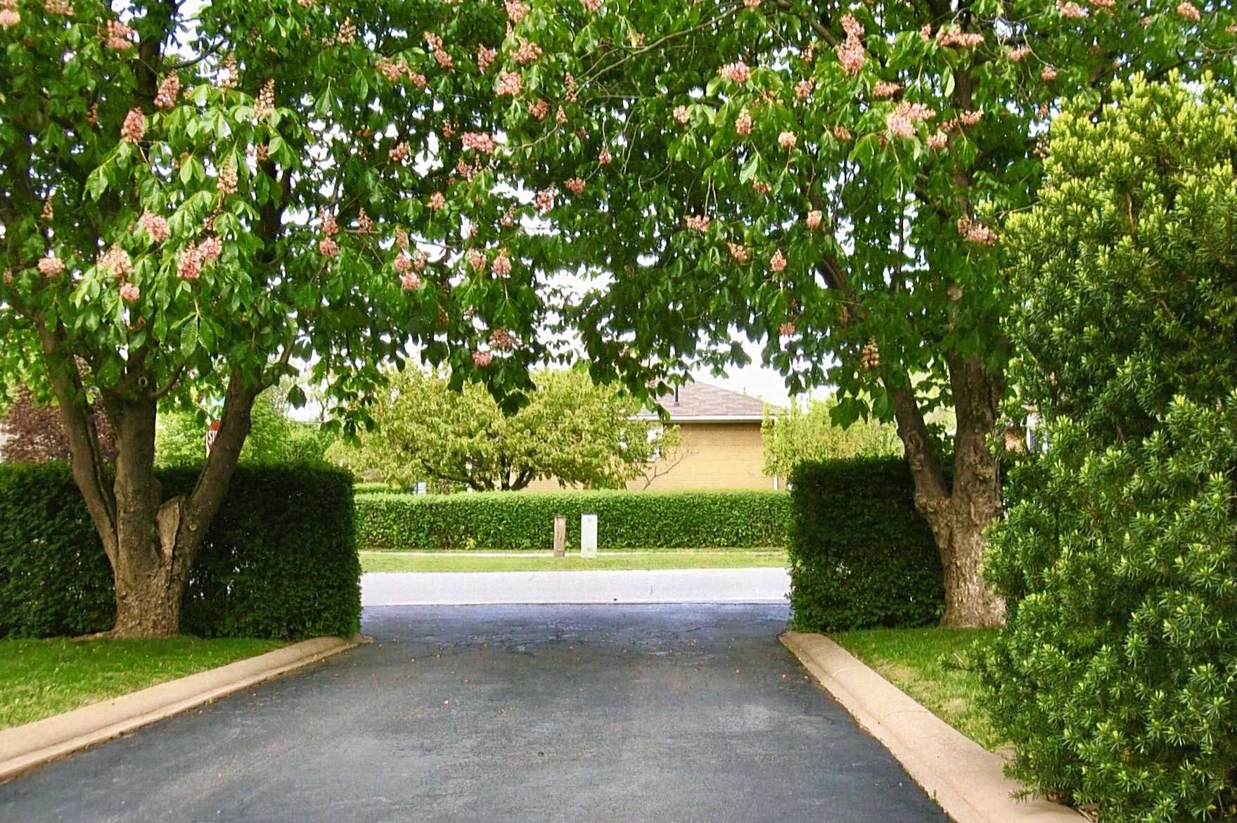 334 Burton Rd