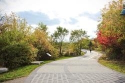 20 Shore Breeze Dr, #508