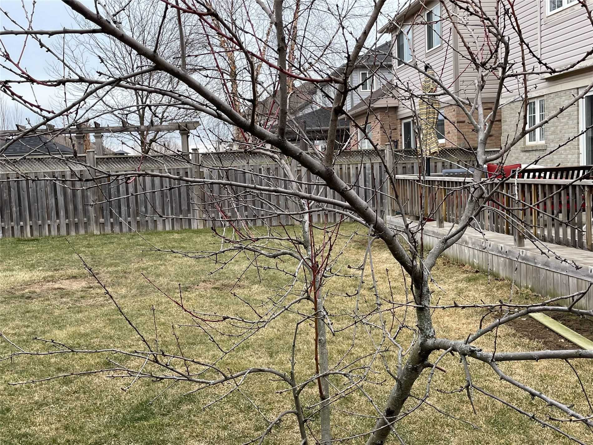1009 Easterbrook Cres