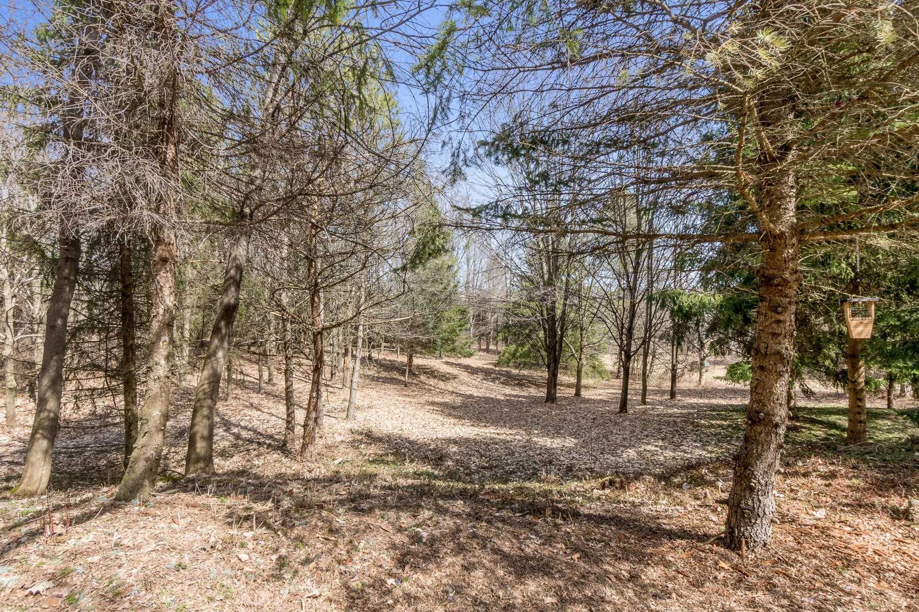 16149 Heart Lake Rd