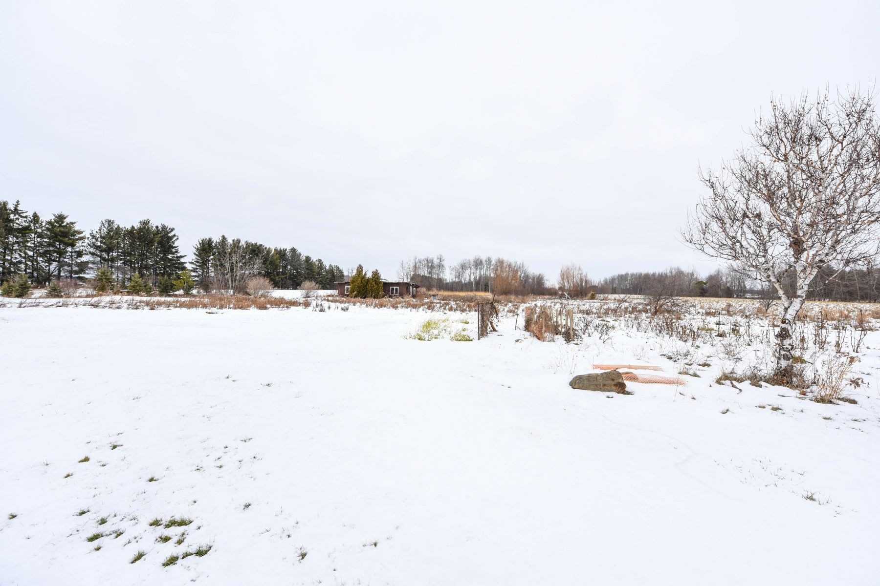 14707 Dixie Rd