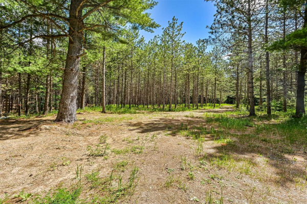 18693 The Gore Rd, Caledon