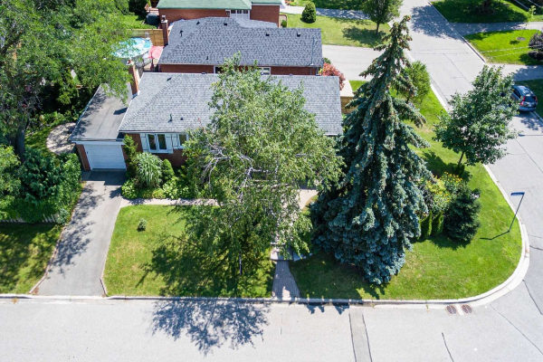 1 Peterlee Ave, Toronto