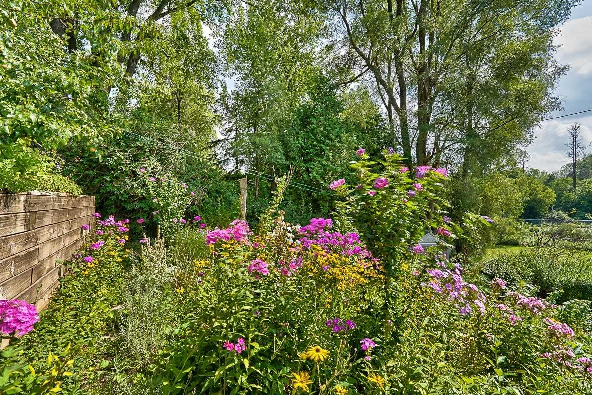 Listing W5339342 - Large Photo # 9