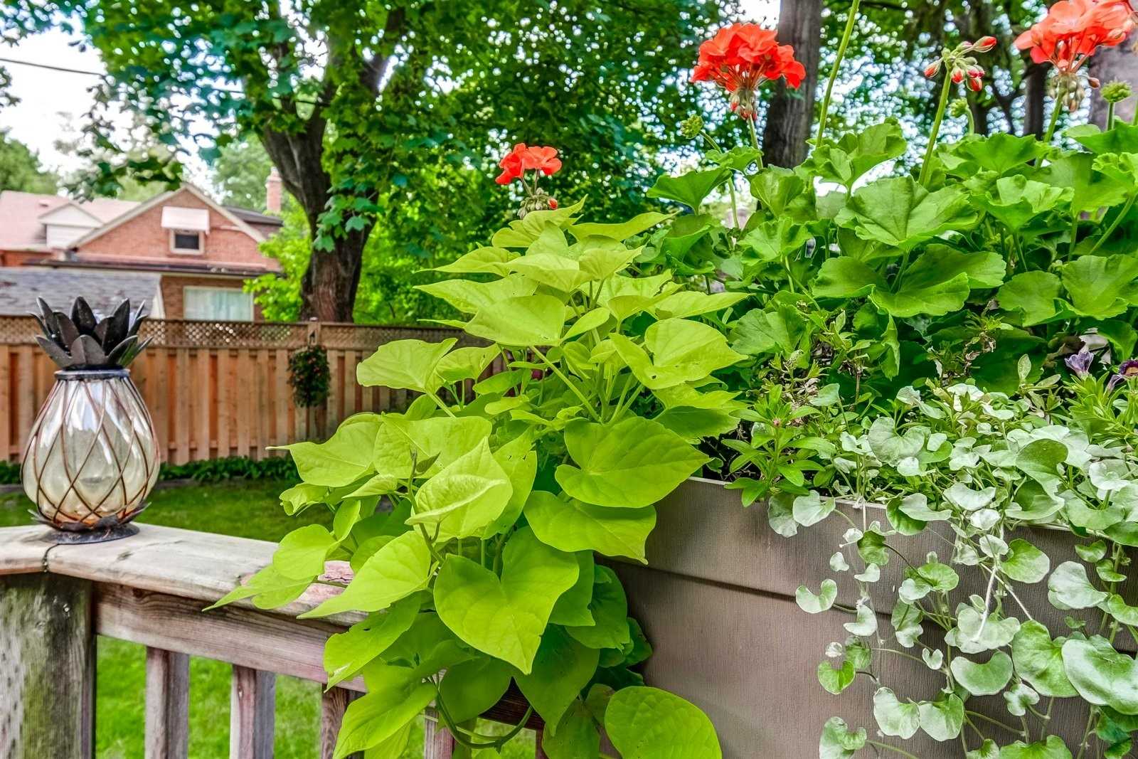 Listing W5369891 - Large Photo # 21