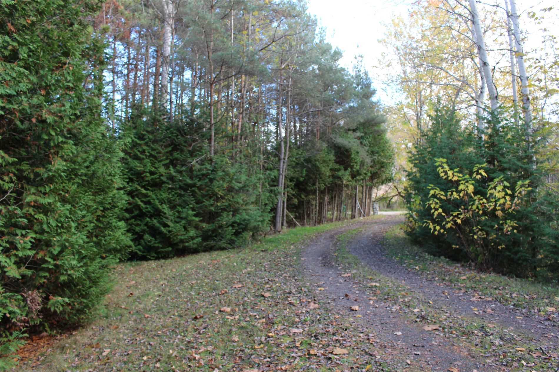 16738 Caledon King Town Line N