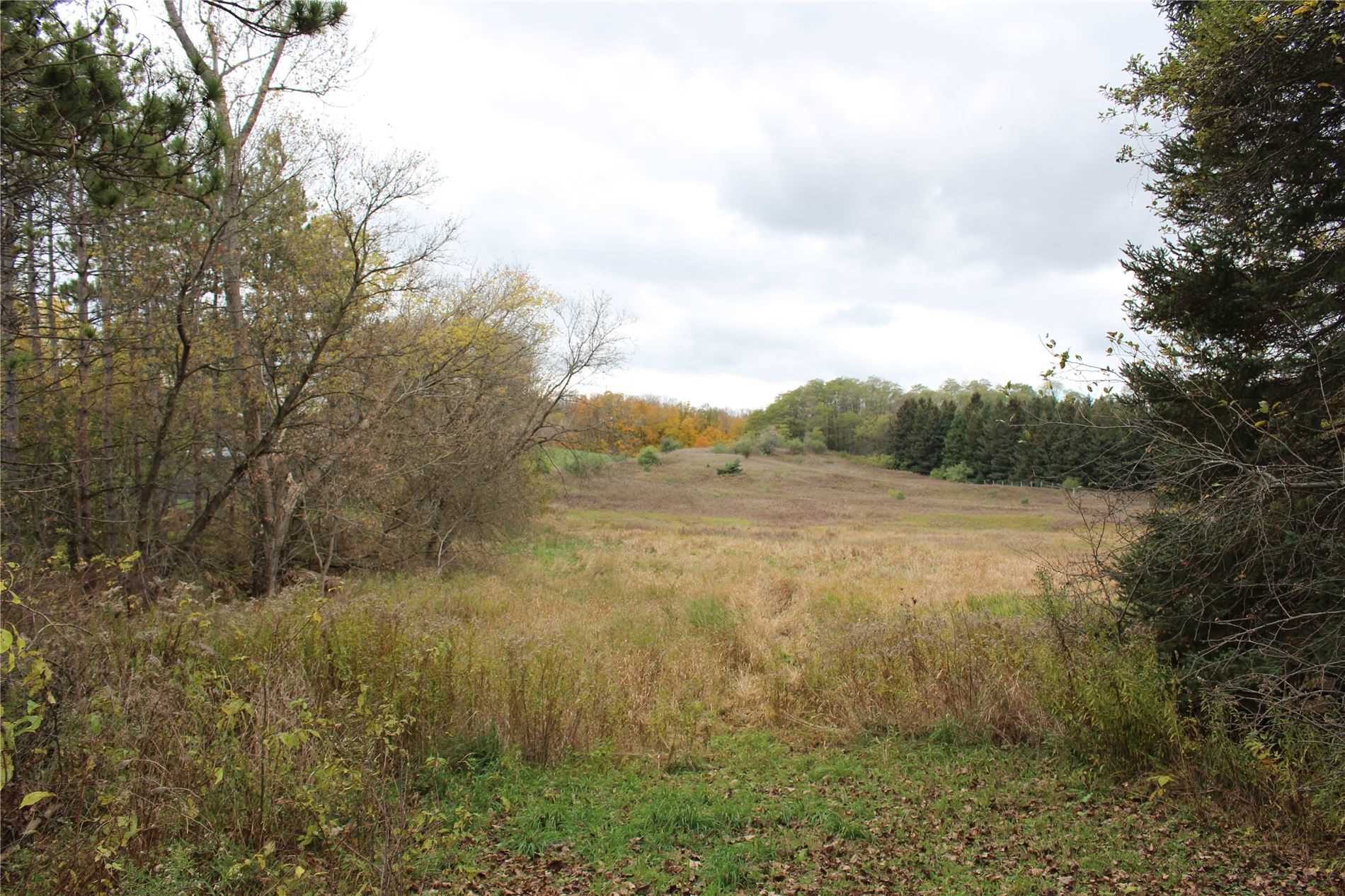 16738 Caledon King Town Line N
