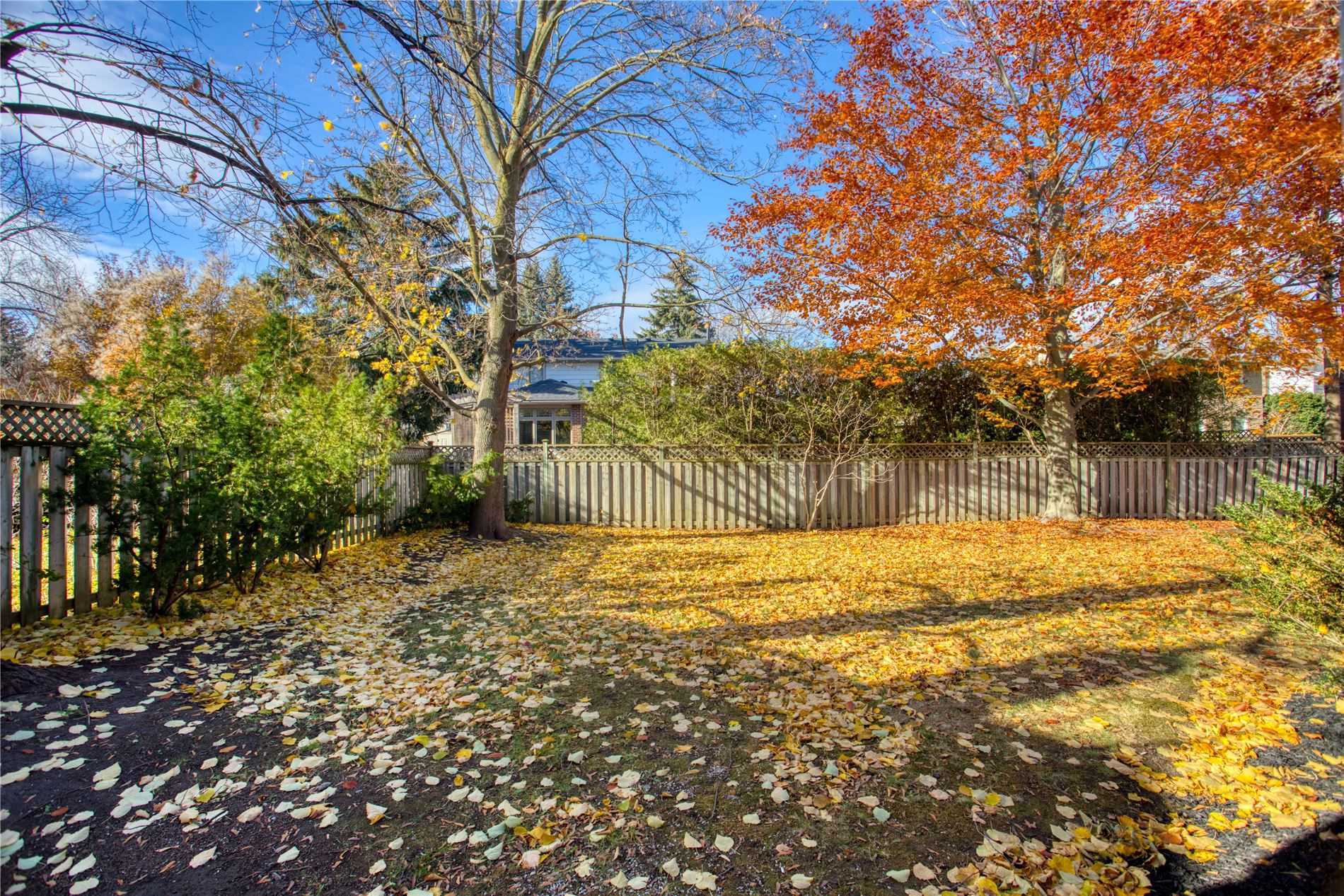 313 Beechfield Rd
