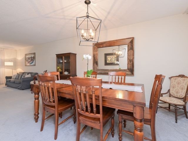 111 Pheasant Dr