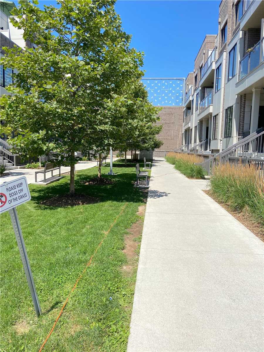 6 Drummond St, #308