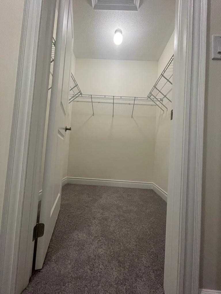 48 Thornvalley Terr