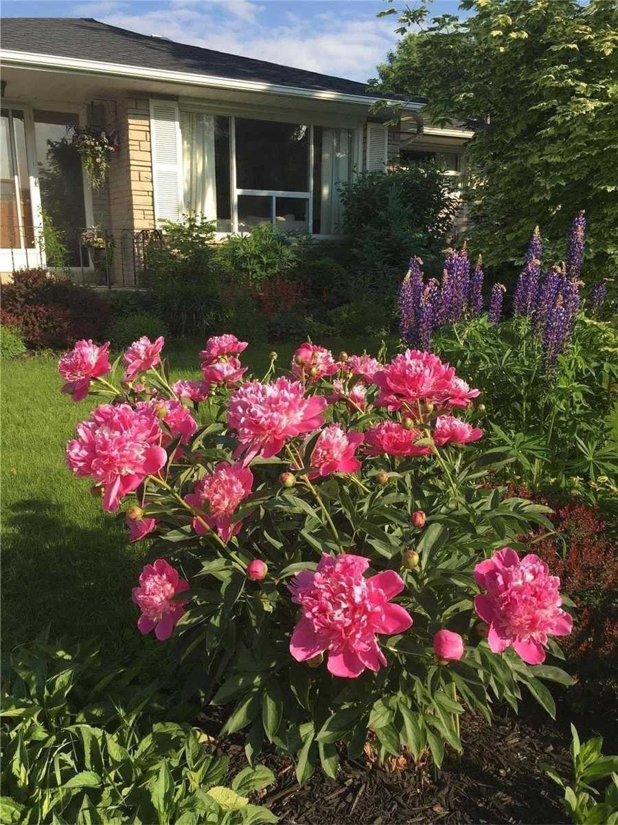 25 Gower Rd