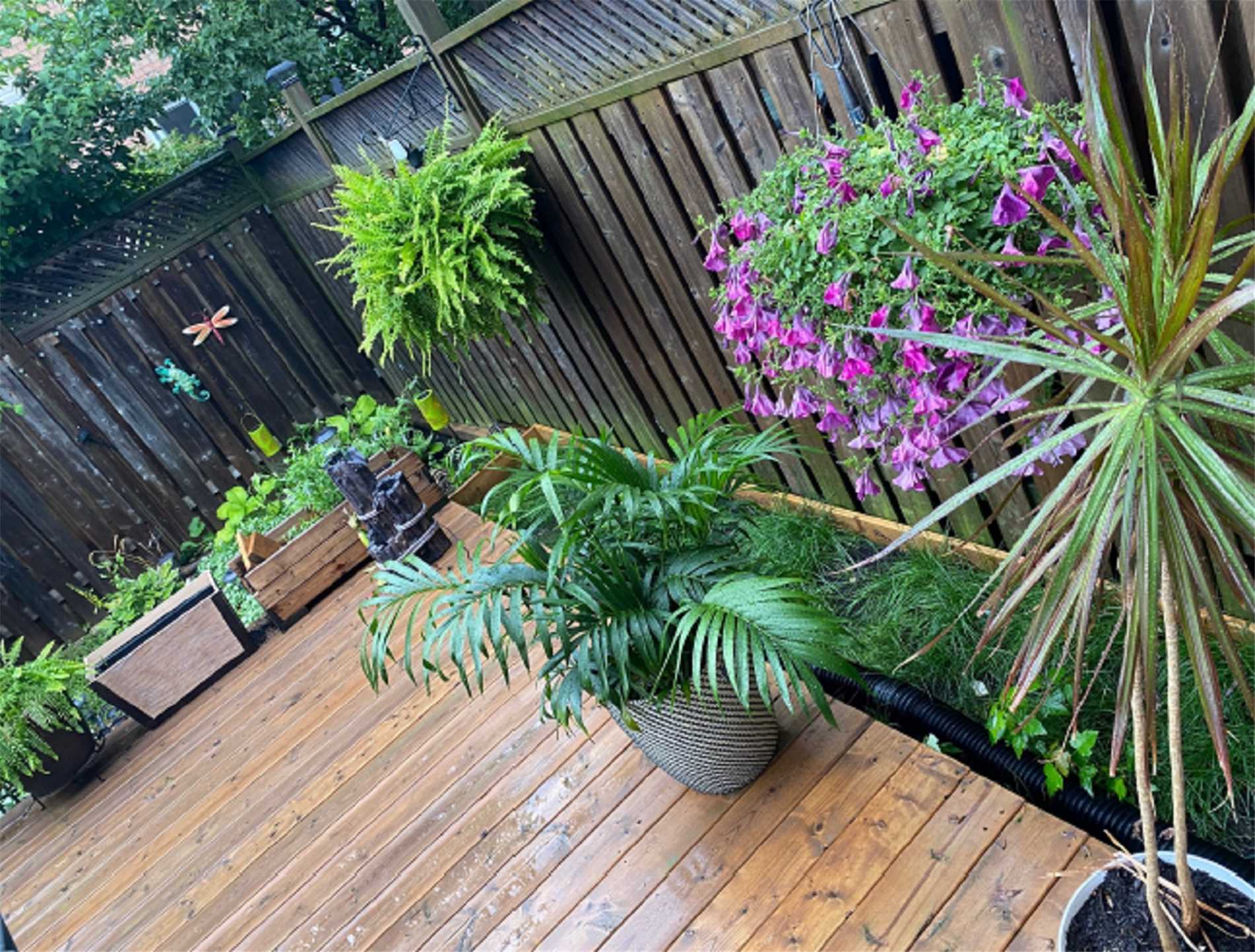 Listing W5521201 - Large Photo # 37