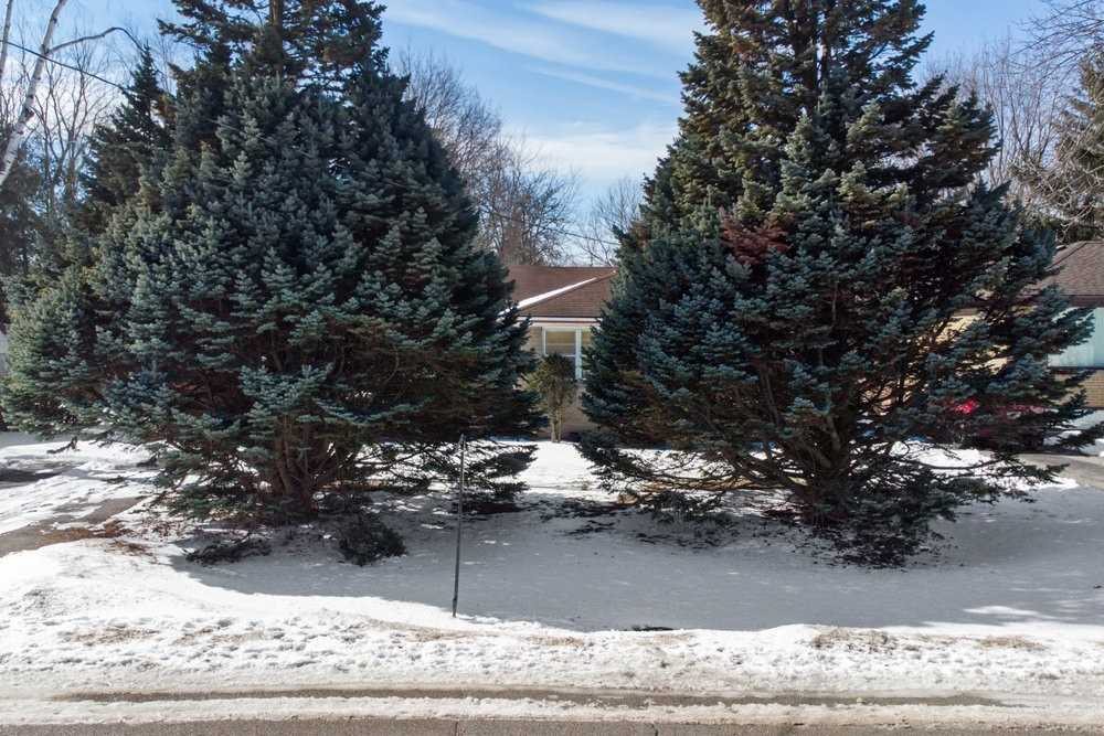 208 Glen Oak Dr