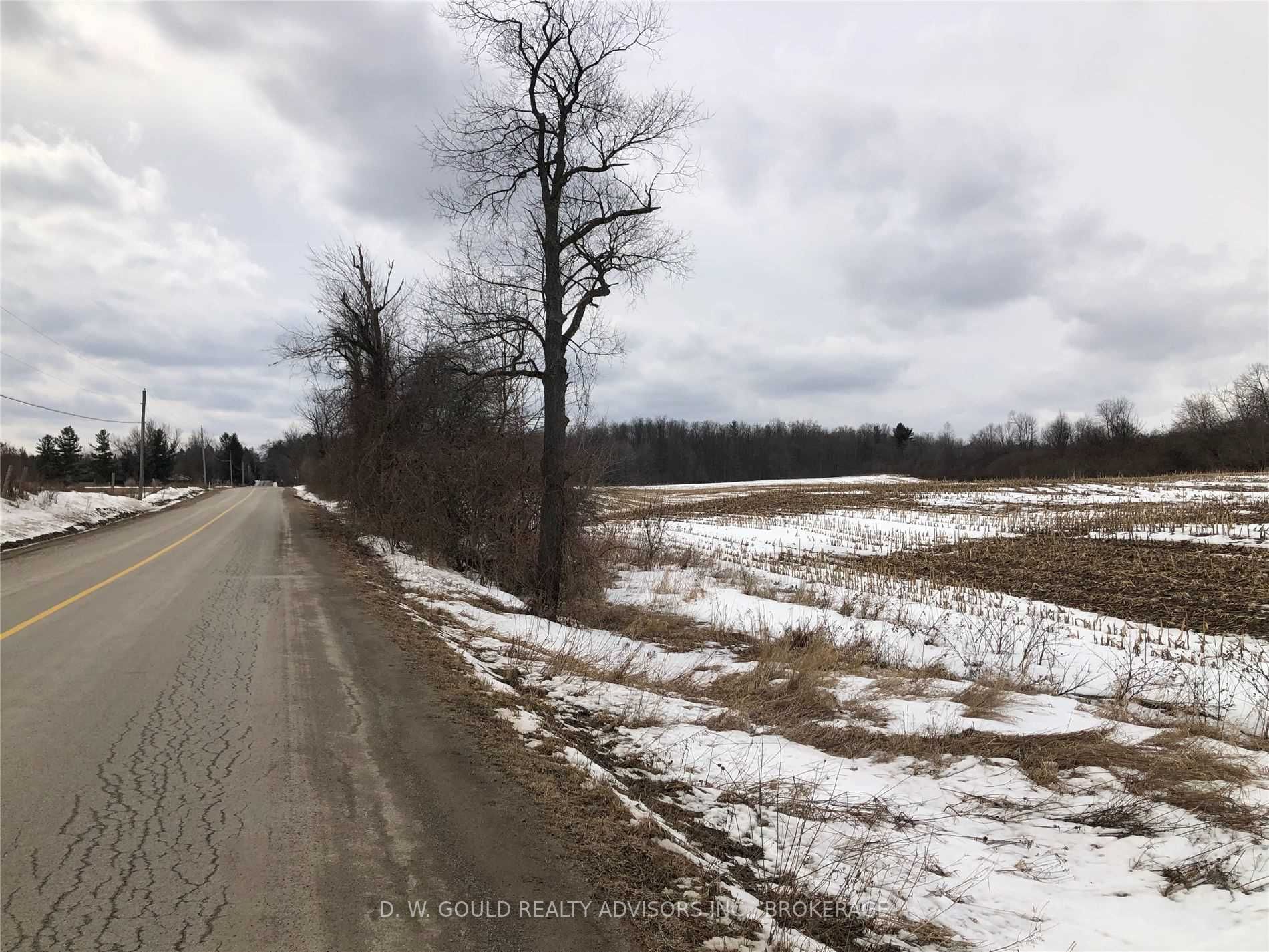 Listing W5527605 - Large Photo # 11