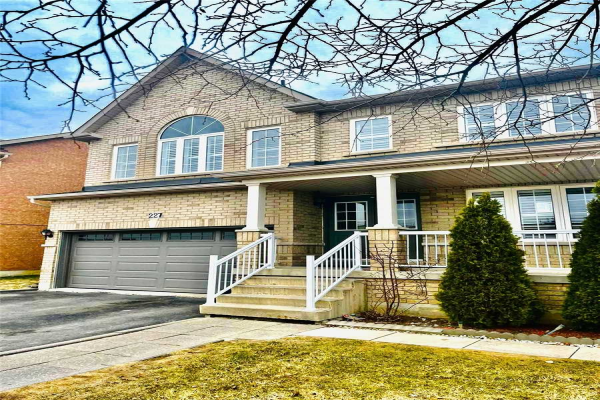 227 Queen Mary Dr, Brampton