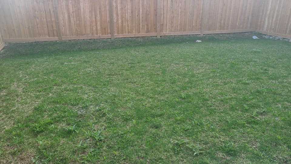 Listing W5596595 - Large Photo # 39