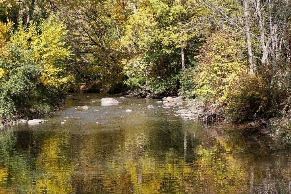 Listing W5624660 - Large Photo # 36