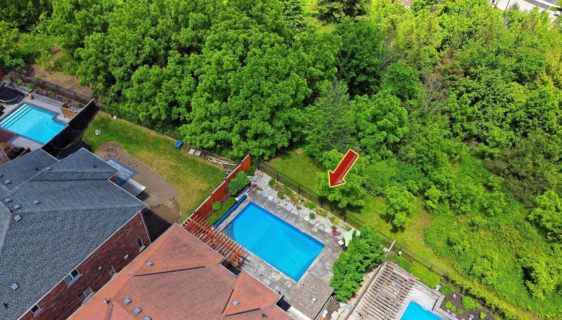 Listing W5635050 - Large Photo # 37