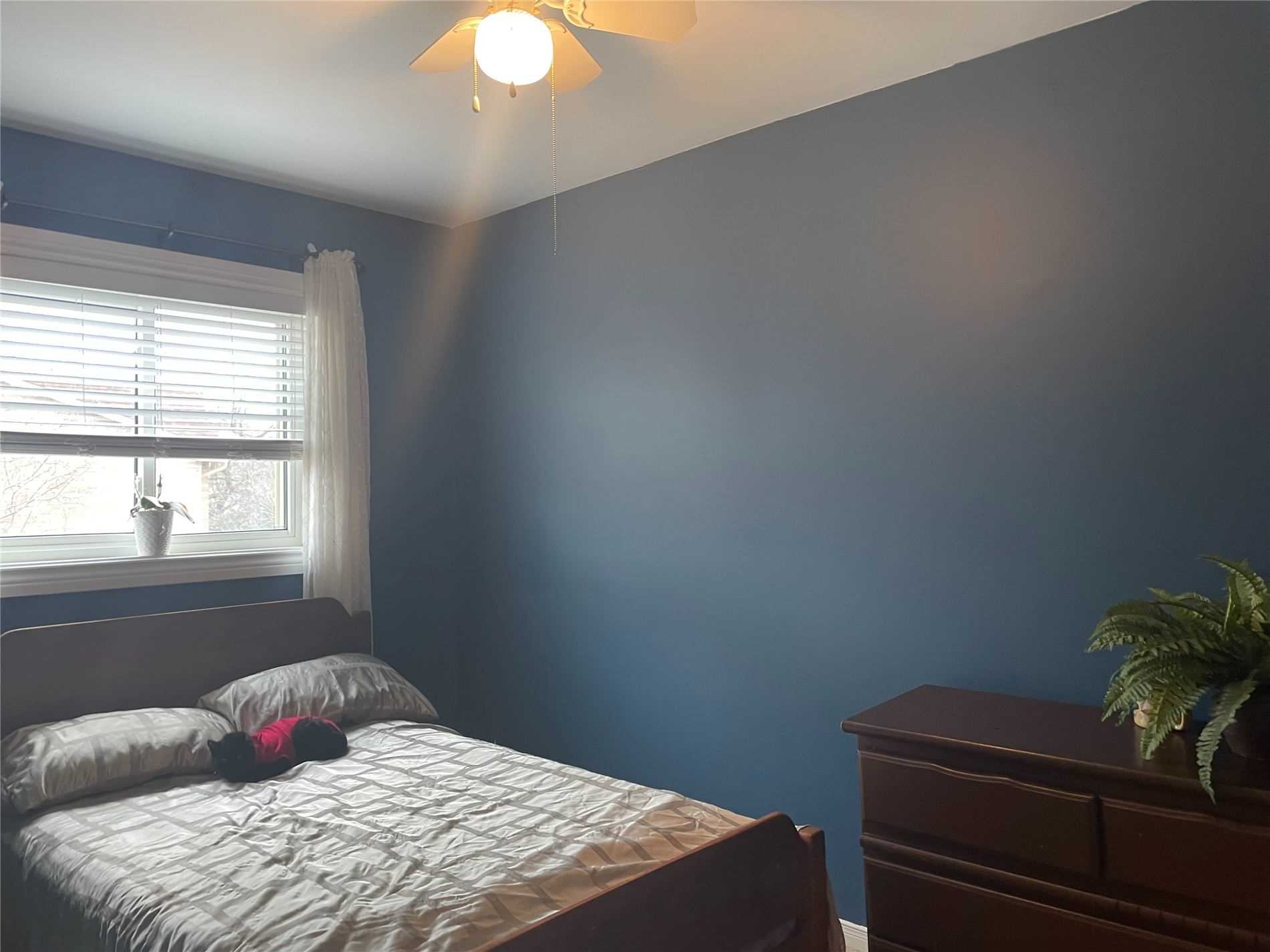 2 Cedar Dr, #4