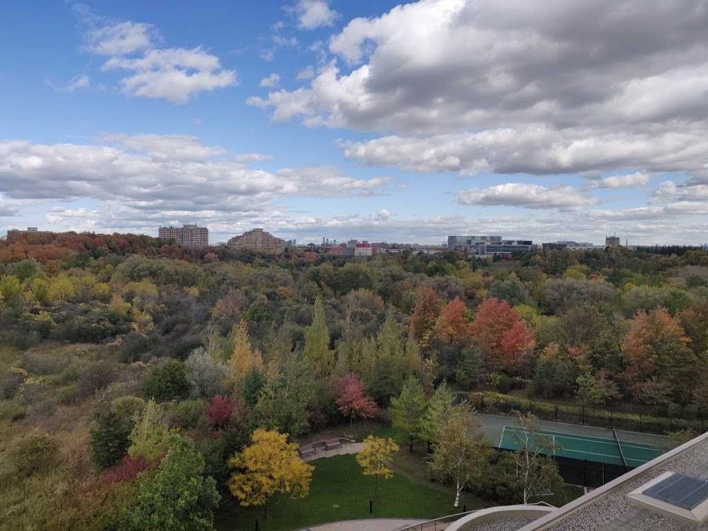 Listing W5703303 - Large Photo # 22